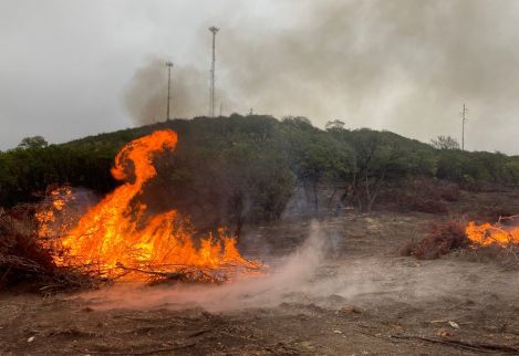 Burning brush we removed from the adjacent field during a range reclamation project.
