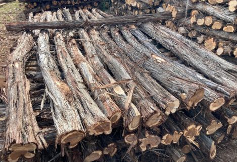 Traditional 7' posts with 12-15" minimum circumference