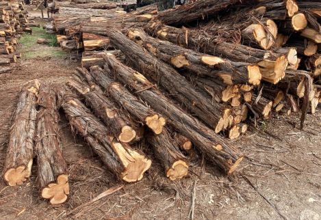 8.5' Corner posts with 21-24" minimum circumference