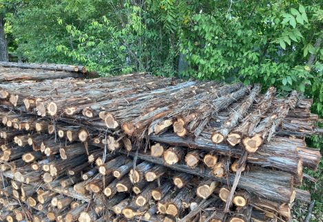 8.5' staves with <6" minimum circumference