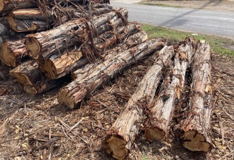 10.5' Corner posts with >30" minimum circumference