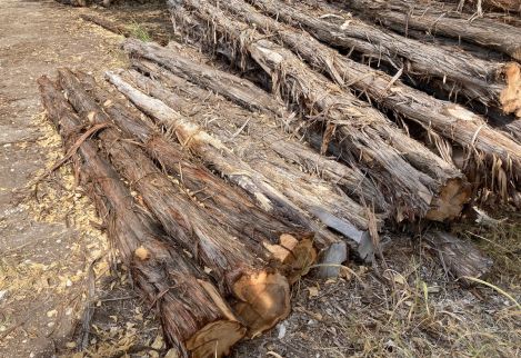 14' Line/corner posts with 21-24" minimum circumference