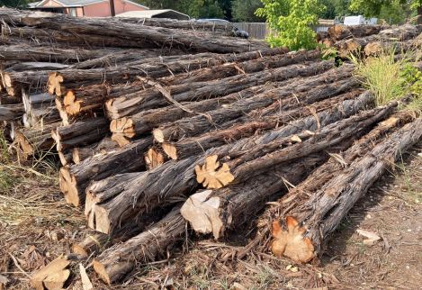 16' Specialty posts in various diameters