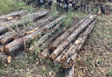 10.5' Line posts with 15-18" minimum circumference