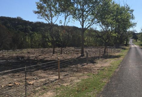 After clearing this pasture of cedar, we built a fence using hand-hewn cedar posts to last generations.